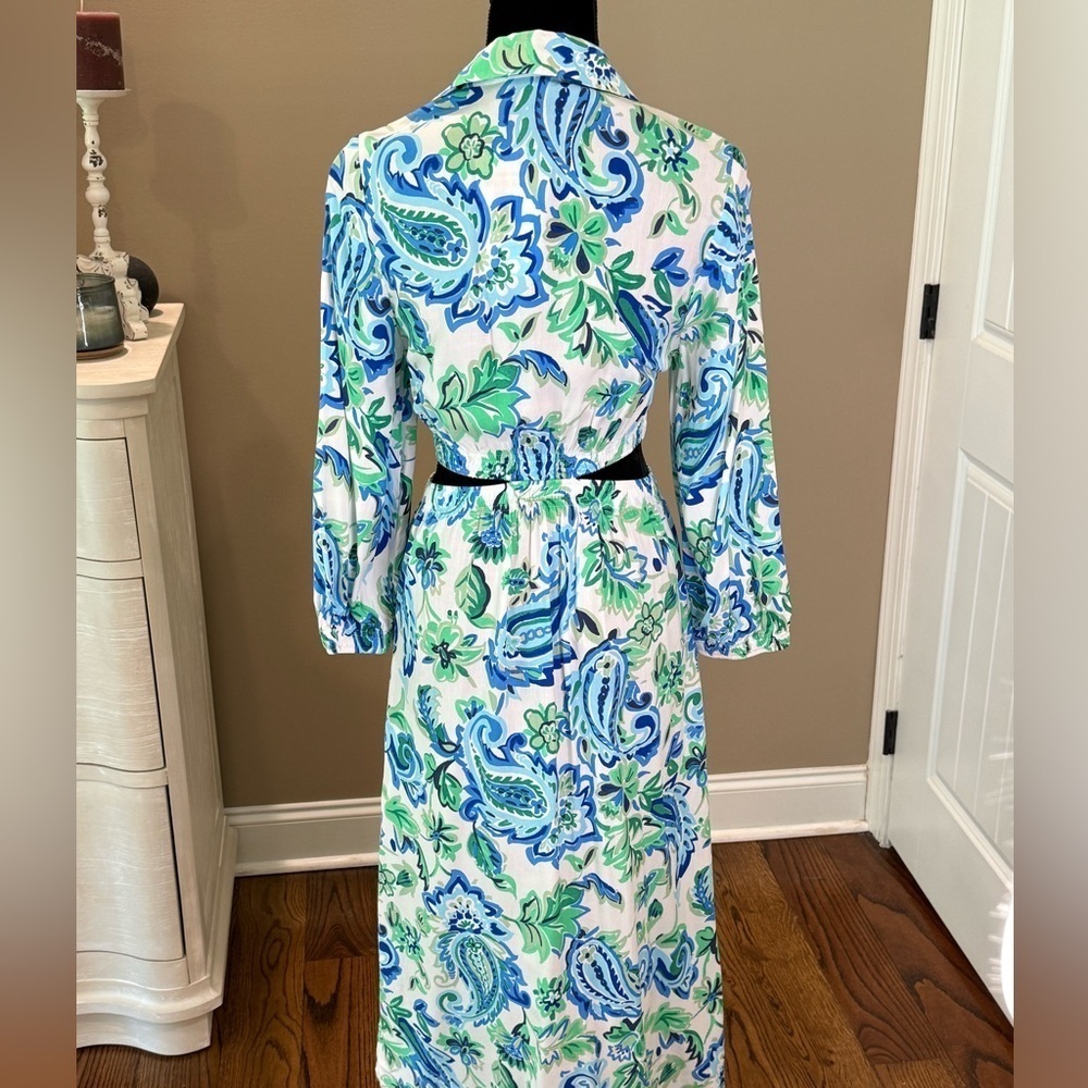 NWT Women’s ZARA Blue/Green paisley cutout midi button down dress- Size XS - Picture 6 of 11